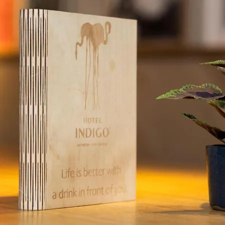 Indigo Centre By Ihg Hotel 4*